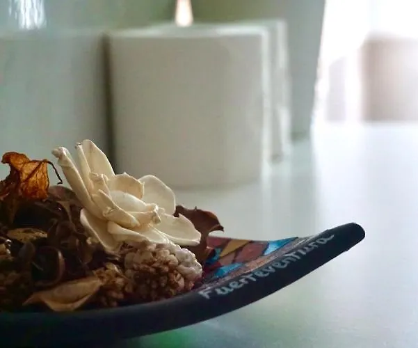 Hotel Fuerteventura Vacations And Blue Mango Surf&fitness Center At Charco Puerto del Rosario (Fuerteventura)