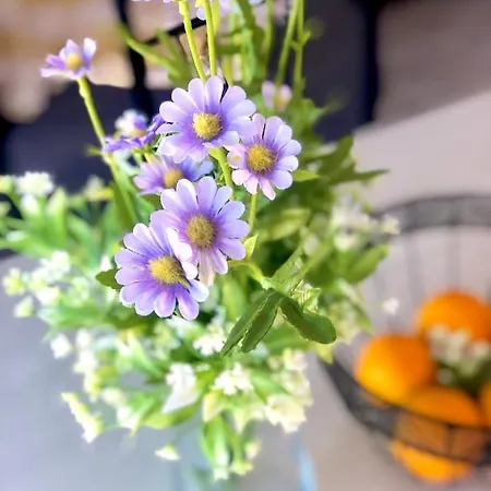 Fuerteventura Vacations And Blue Mango Surf&fitness Center At Charco * Puerto del Rosario (Fuerteventura)