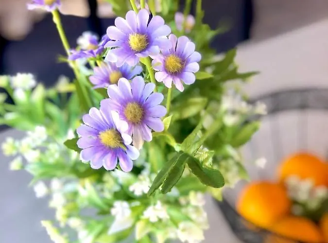 Fuerteventura Vacations And Blue Mango Surf&fitness Center At Charco * プエルト・デル・ロサリオ