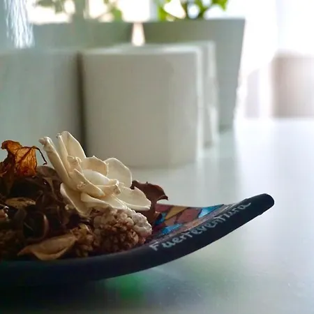 酒店 Fuerteventura Vacations And Blue Mango Surf&fitness Center At Charco 罗萨里奥港