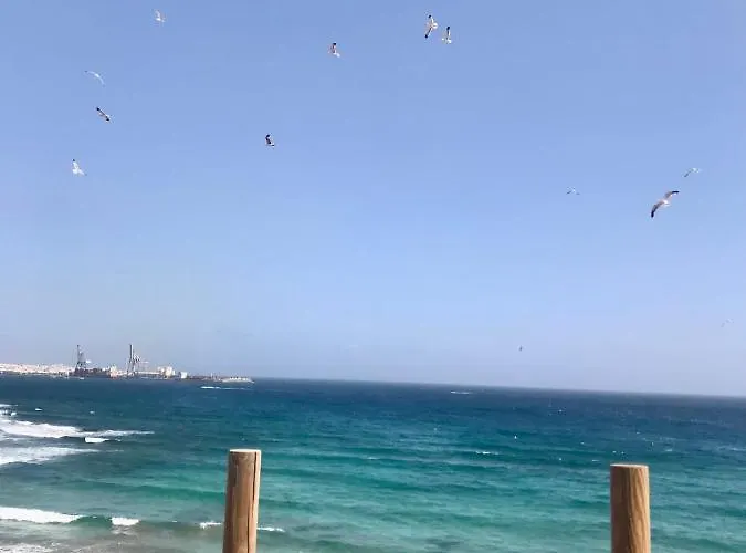 Fuerteventura Vacations And Blue Mango Surf&fitness Center At Charco